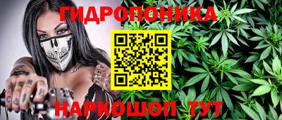 индика Нарткала