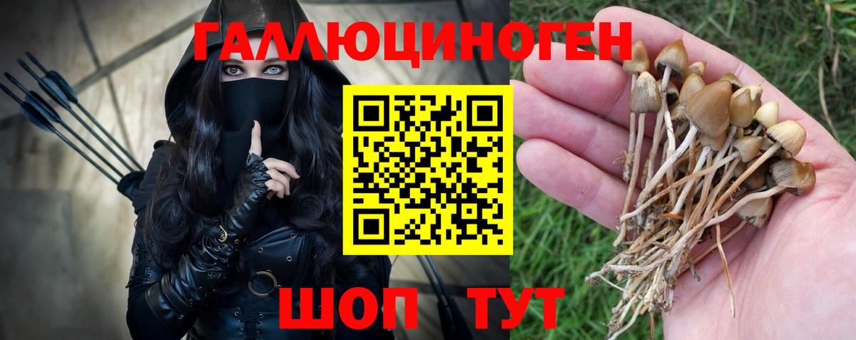Брянск  Псилоцибиновые грибы MAGIC MUSHROOMS  Псилоцибиновые грибы прущие грибы  Вход с VPN 